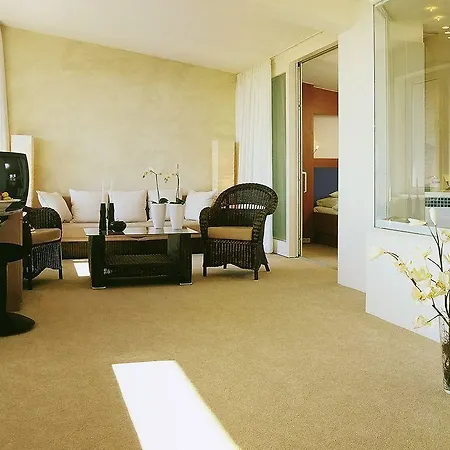 酒店 国宾酒店及spa