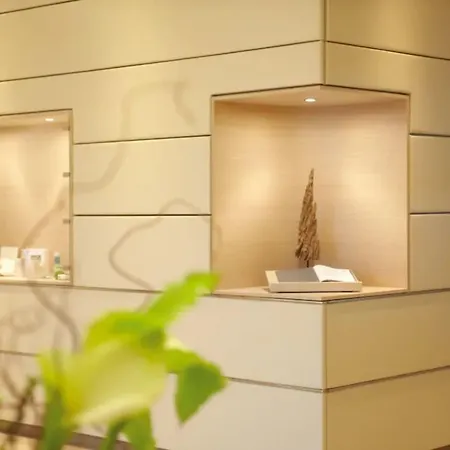 国宾酒店及spa 4* 圣彼得奥尔丁